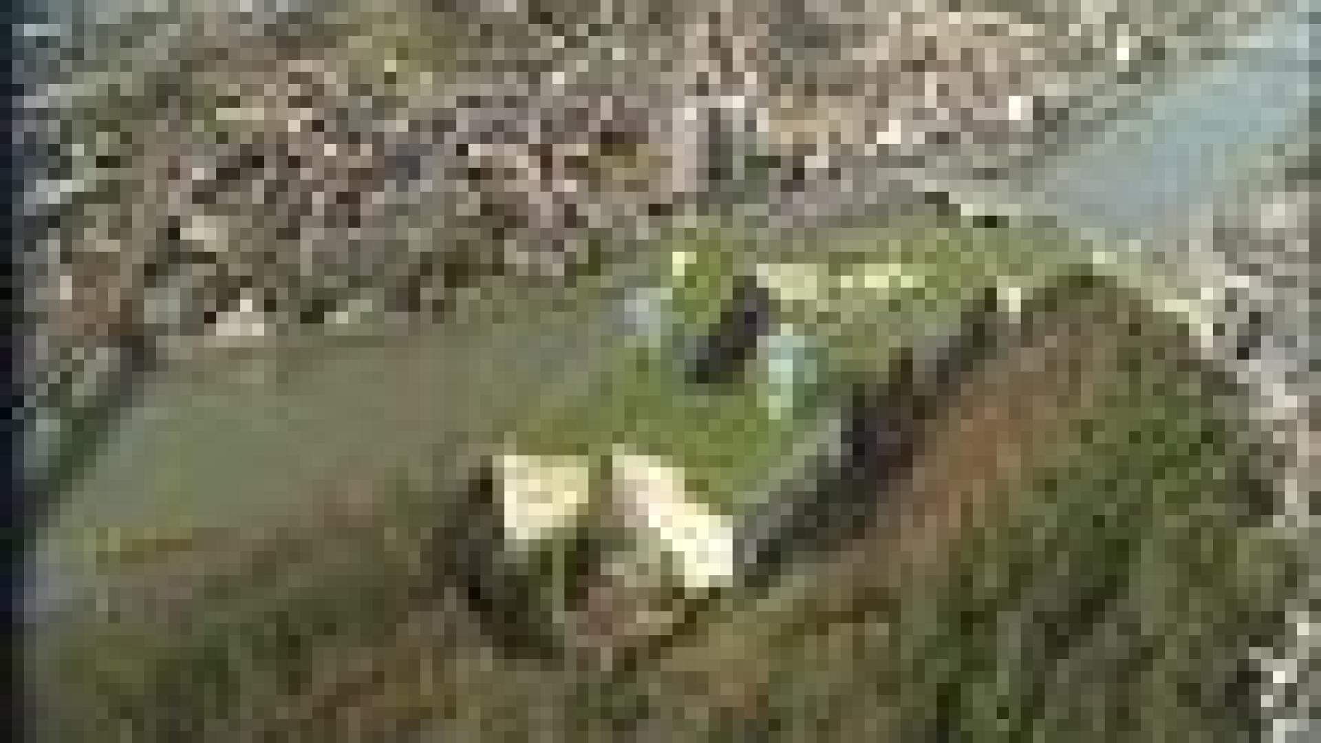 Fort de Huy : chute de pierres